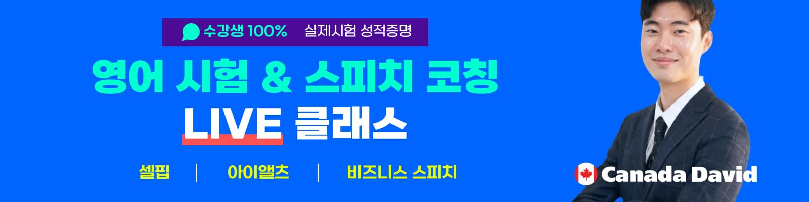 데이빗 영어 강의 
